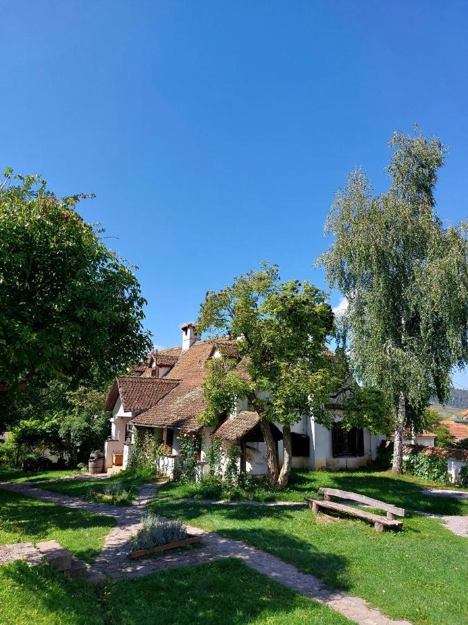 Count Kalnoky'S Transylvanian Guesthouses Miclosoara Экстерьер фото