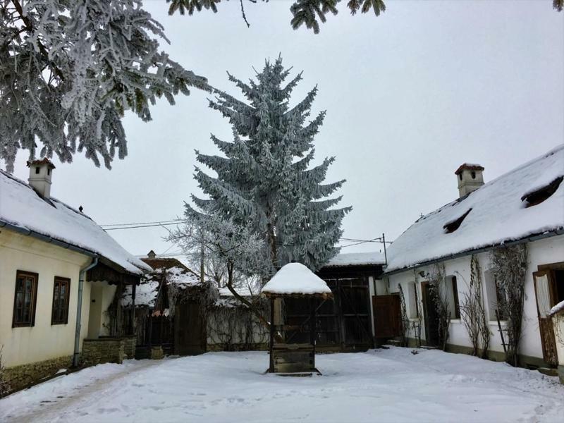 Count Kalnoky'S Transylvanian Guesthouses Miclosoara Экстерьер фото