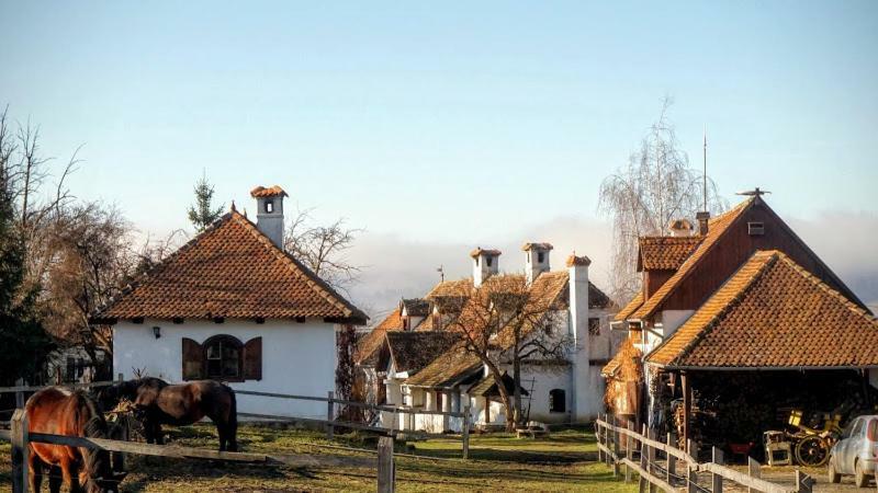 Count Kalnoky'S Transylvanian Guesthouses Miclosoara Экстерьер фото